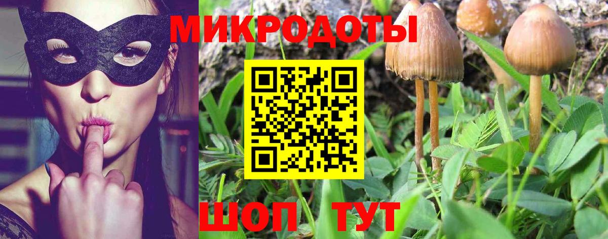 Псилоцибиновые грибы прущие грибы Пугачёв