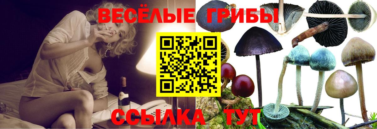 Галлюциногенные грибы мицелий  что такое   Псилоцибиновые грибы Cubensis  Пугачёв  Вход с VPN 